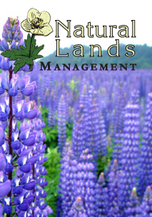 Forest Management